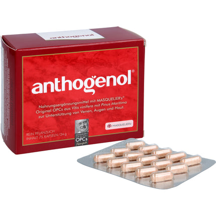 OPC ORIGINAL Masqueliers Anthogenol Kapseln