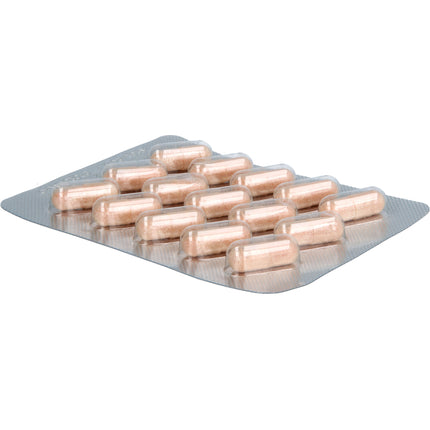 OPC ORIGINAL Masqueliers Anthogenol Kapseln