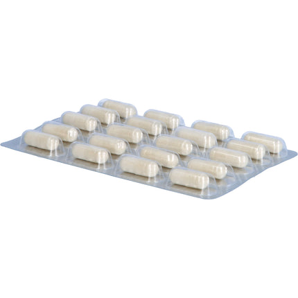 OSTEO CORAL D3 Dr.Wolz Kapseln