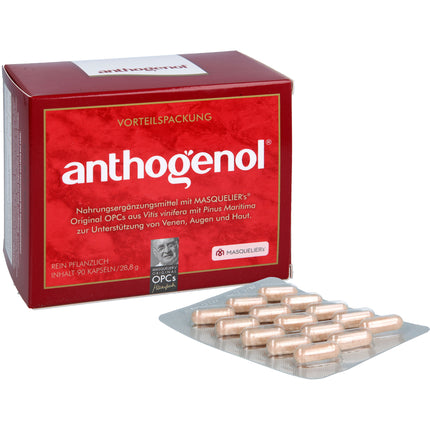 OPC ORIGINAL Masqueliers Anthogenol Kapseln