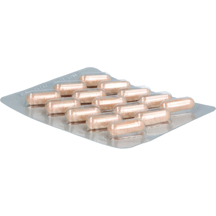 OPC ORIGINAL Masqueliers Anthogenol Kapseln