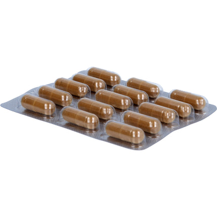 OPC RESVERATROL Kapseln