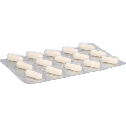 KNEIPP Gedächtnis+Konzentration Kapseln