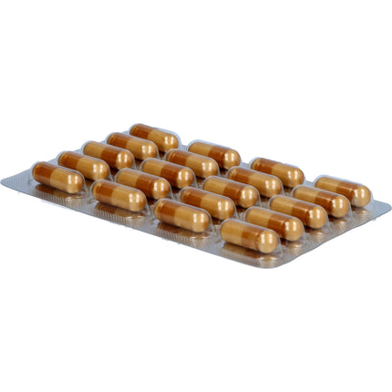 ENZYMAX K Kapseln
